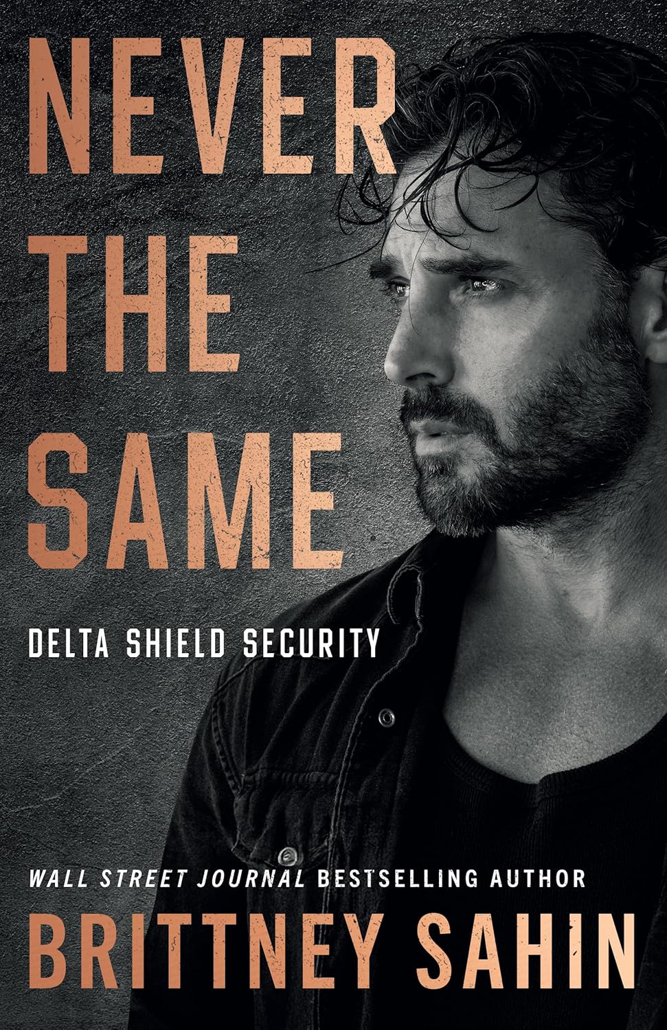 Delta Shield Security Series
